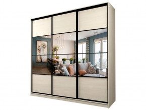 Шкаф-купе Max МШ-27-6-24-777 в Миассе - miass.magazin-mebel74.ru | фото