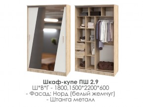 шкаф-купе ПШ-2.9 1500 Норд Белый жемчуг 1500 в Миассе - miass.magazin-mebel74.ru | фото