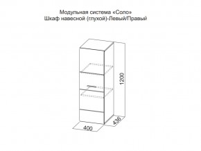 Шкаф навесной (глухой) Левый в Миассе - miass.magazin-mebel74.ru | фото